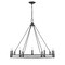 Z-Lite Dennison 12 Light Chandelier, Matte Black 4005-12MB - alternate 2